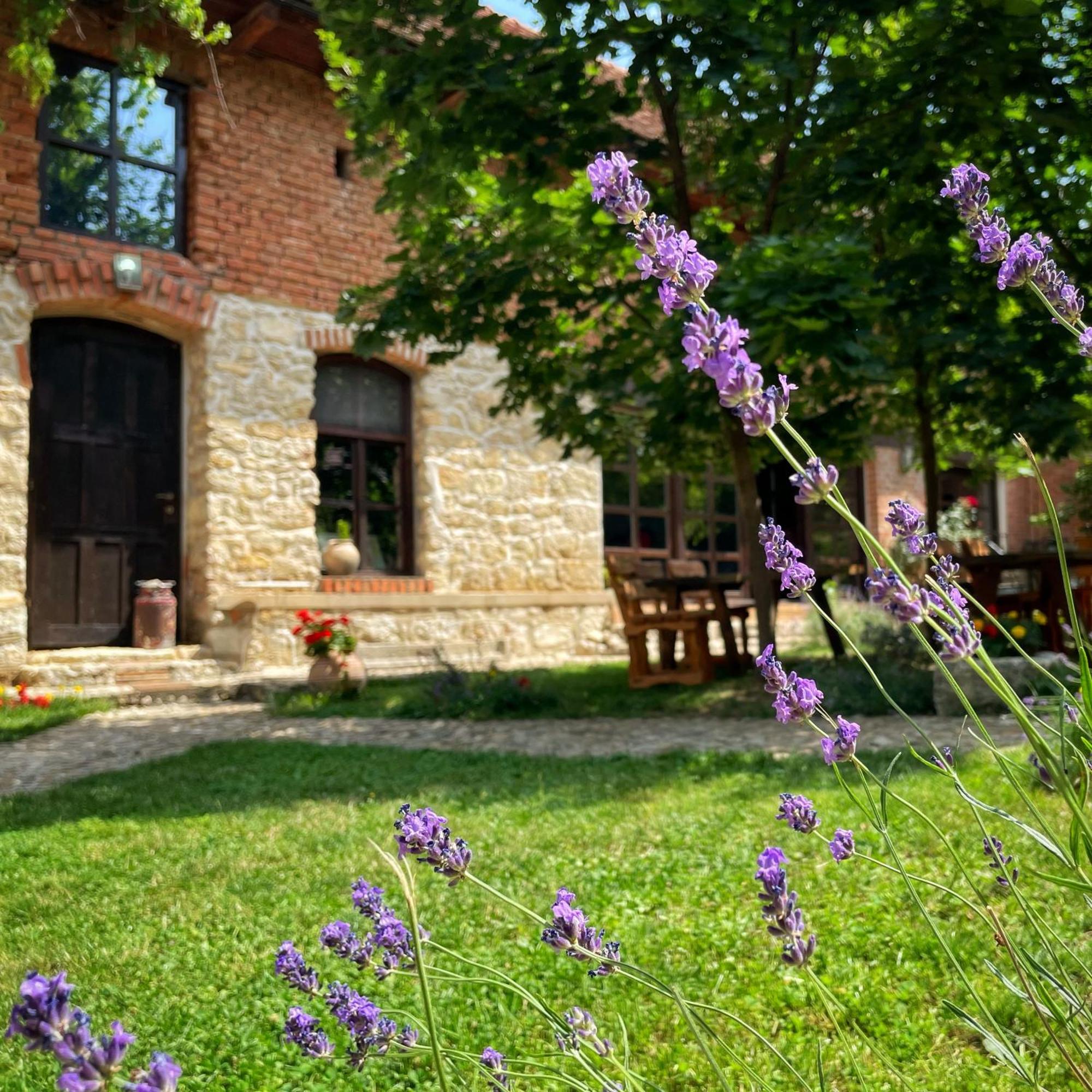 Casa Thea Cheile Nerei Hotel Socolari Bagian luar foto